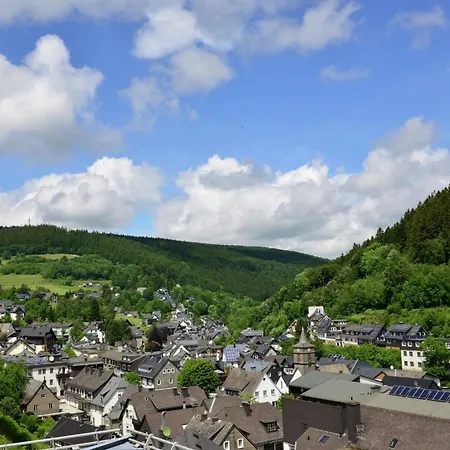 Geraeumiges Mit Balkon In Appartamento Willingen (Upland)