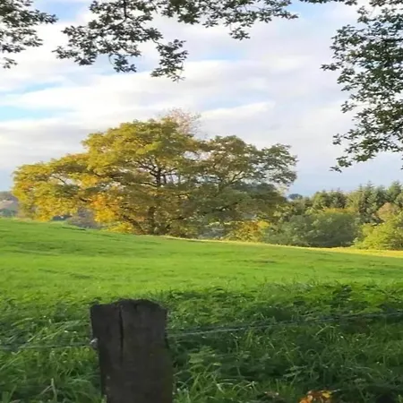 Appartamento Geraeumiges Mit Balkon In *