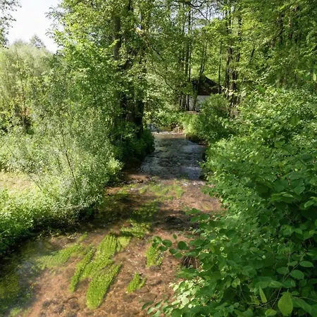 Geraeumiges Mit Balkon In Appartamento *