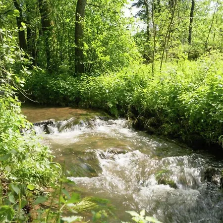 Geraeumiges Mit Balkon In Appartamento Willingen (Upland)
