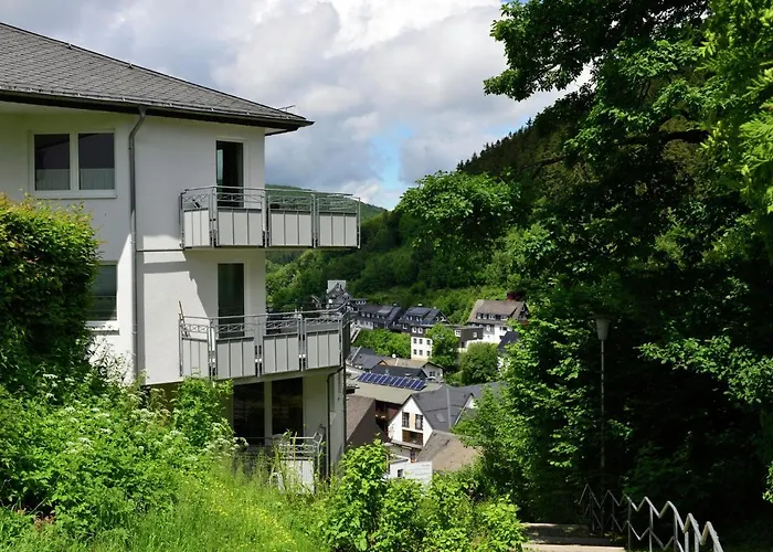 Apartment Geraeumiges Mit Balkon In Willingen (Upland)