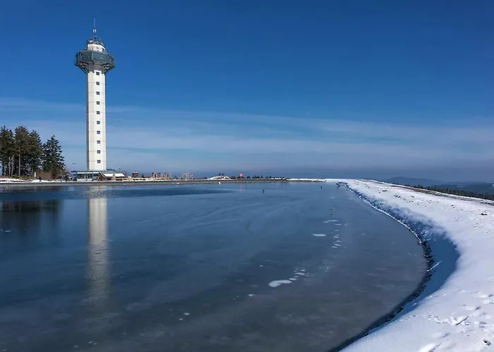 Apartment Geraeumiges Mit Balkon In Willingen (Upland)