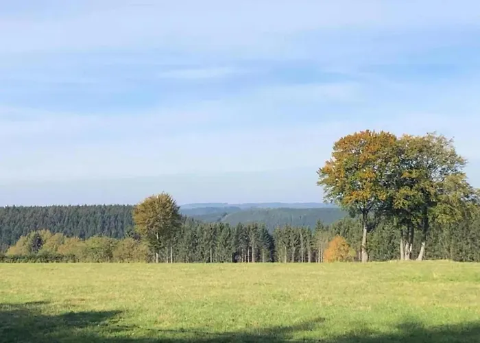 Apartment Geraeumiges Mit Balkon In