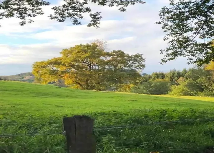 Apartment Geraeumiges Mit Balkon In *