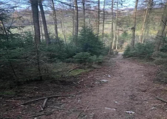 Apartment Geraeumiges Mit Balkon In