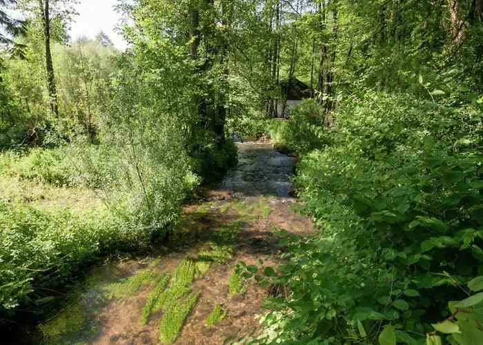 Geraeumiges Mit Balkon In Apartment *