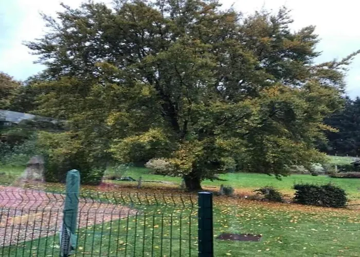 Geraeumiges Mit Balkon In Apartment *