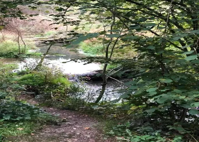 Geraeumiges Mit Balkon In * Willingen (Upland)