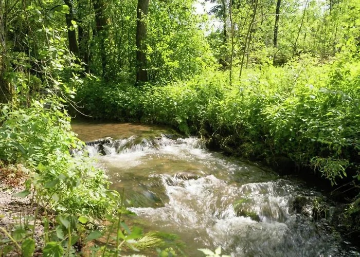 Geraeumiges Mit Balkon In Apartment Willingen (Upland)